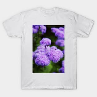 Purple Mimosa Flower T-Shirt